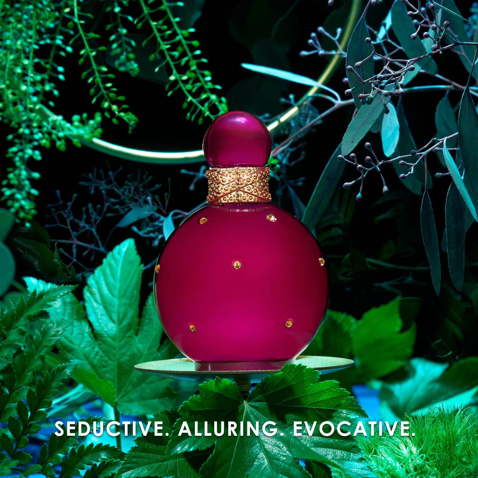 Sweet & Seductive Celebrity Fragrance